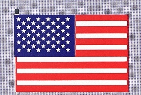 American Flag Procession Banners