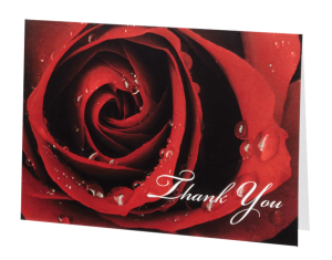 Regal Rose Acknowledgement