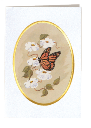 Butterfly Acknowledgement