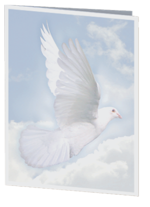 Wings of Hope Acknowledgement