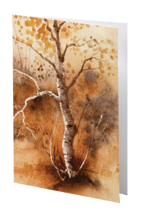 Autumn Splendor Acknowledgement