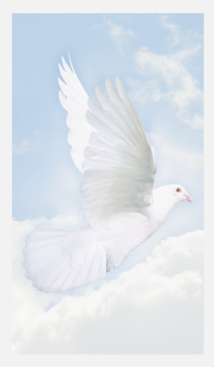 Wings of Hope Prayer Cards