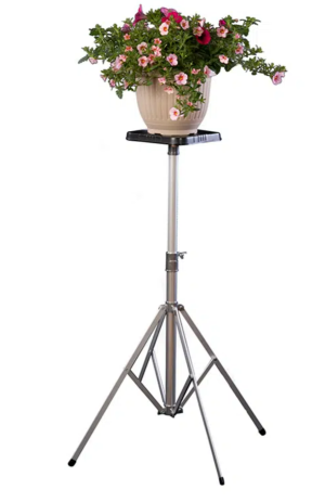 "D" Deluxe Stand (Set of 2)
