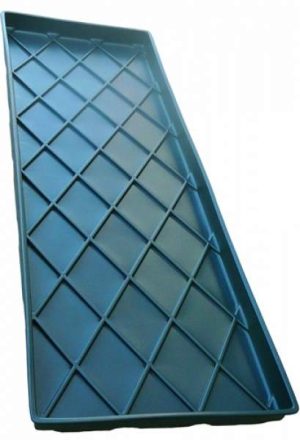 Mausoleum Tray