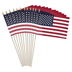 Parade Waving Flags